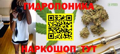 ECSTASY Котовск