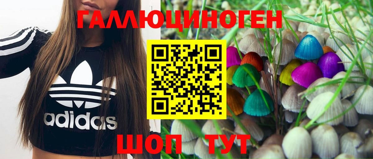 Амурск  закладки  Вход с VPN  Галлюциногенные грибы MAGIC MUSHROOMS 