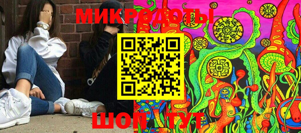 Псилоцибиновые грибы Psilocybe Амурск